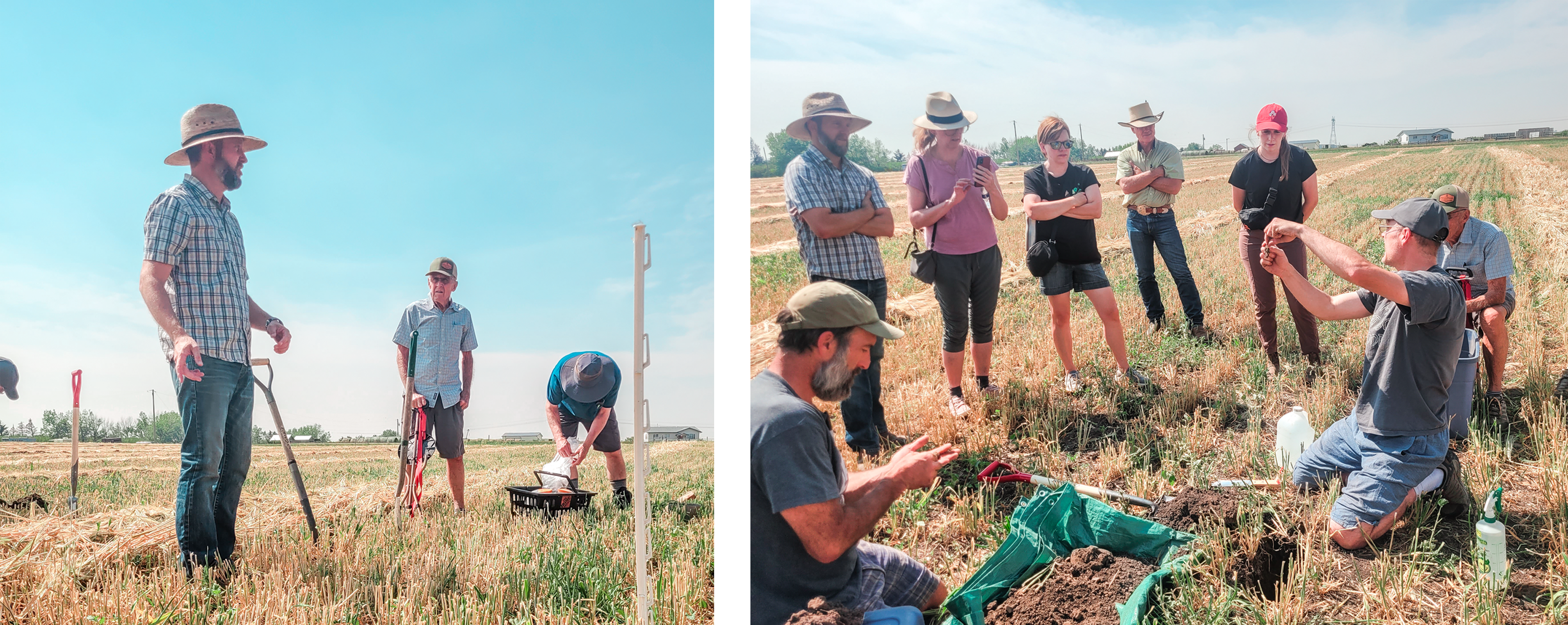 Alberta field day 2 pictures