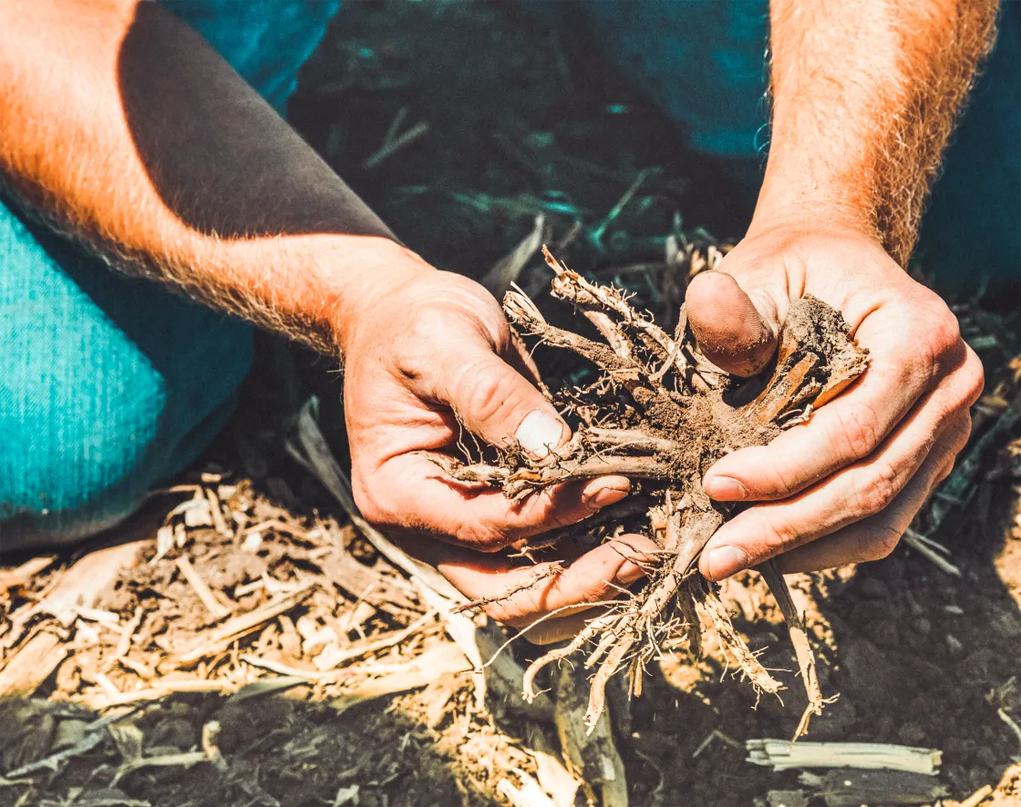 Agri-carbon Hands